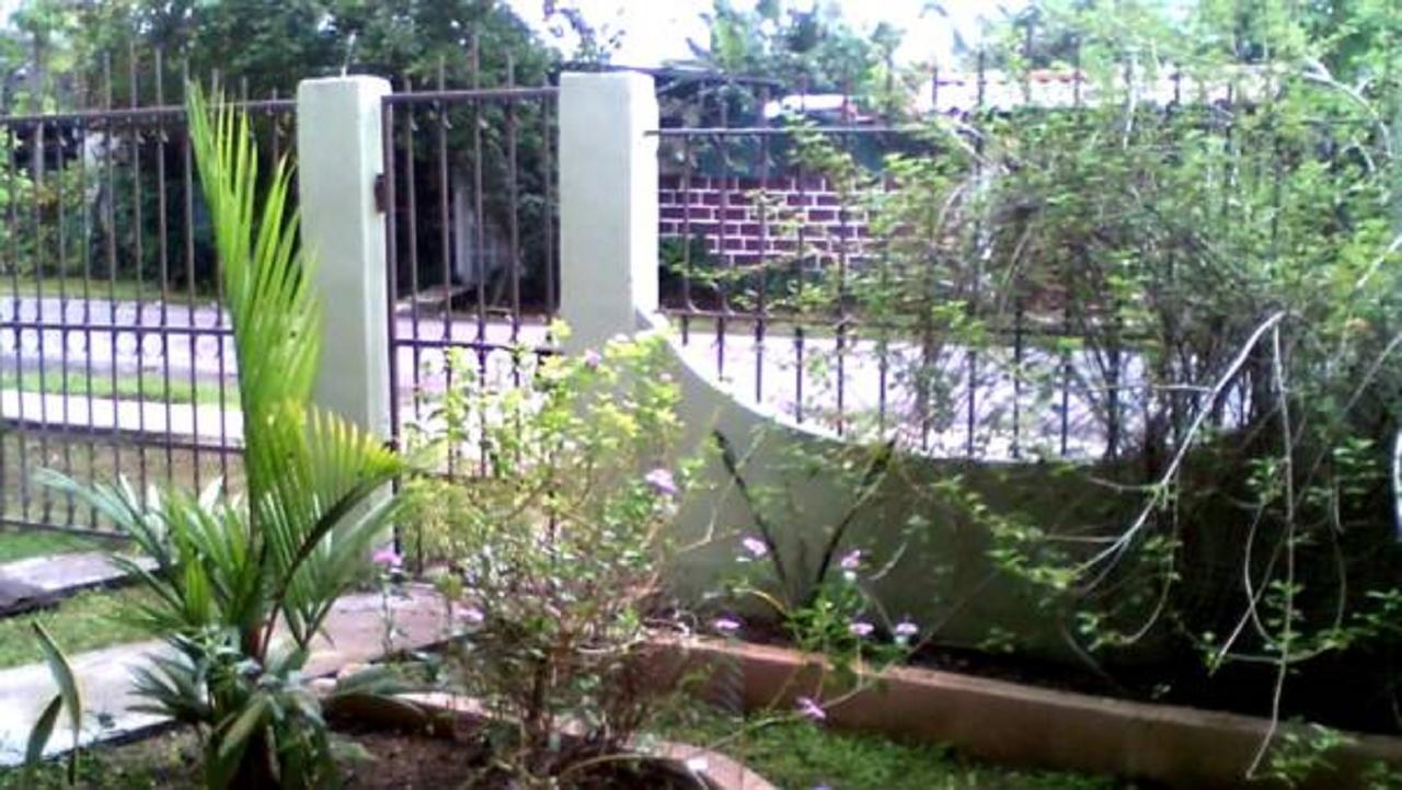 Pacasa Hostel David Exterior photo